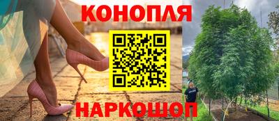 прущие крисы Кулебаки