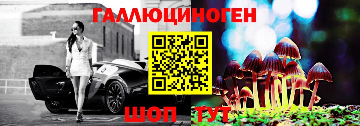 Галлюциногенные грибы GOLDEN TEACHER Заводоуковск
